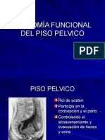 Anatomía Funcional Del Piso Pelvico