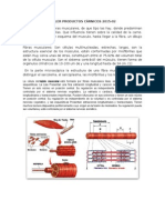 Taller Productos Carnicos. 2015-02