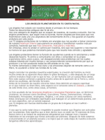 Estudio Angeles Planetarios