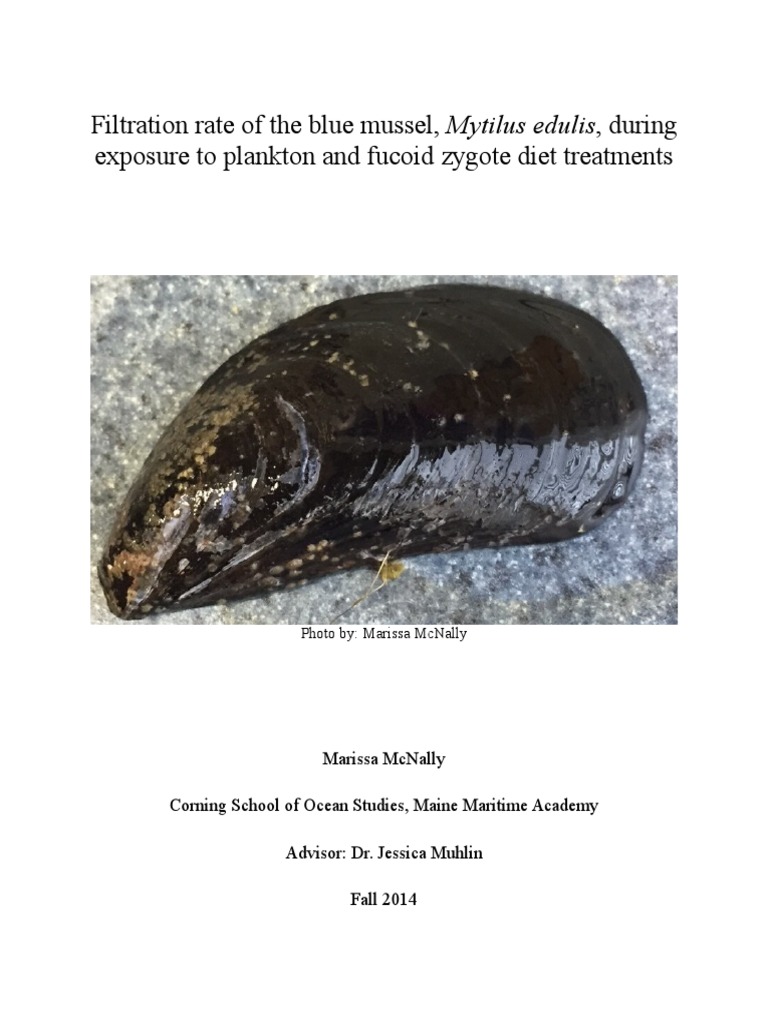 Blue Mussel Filtration Rate Study | PDF | Mussel | Plankton