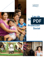 Ley de Desarrollo y Proteccion Social-1