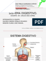 Sistema Digestivo