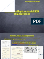 Clase Replicacion Eucariota