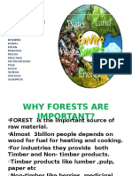 Forest & Biodiversity