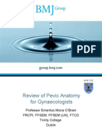 Review of Pelvic Anatomy BMJ