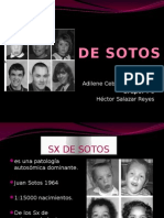 SX de Sotos