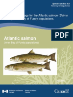 Recovery of Atlantic Salmon