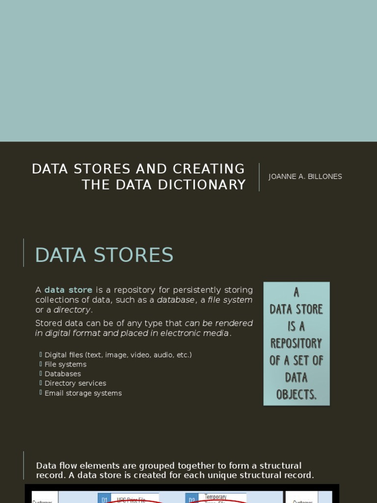 Data Dictionary and Store Overview | PDF
