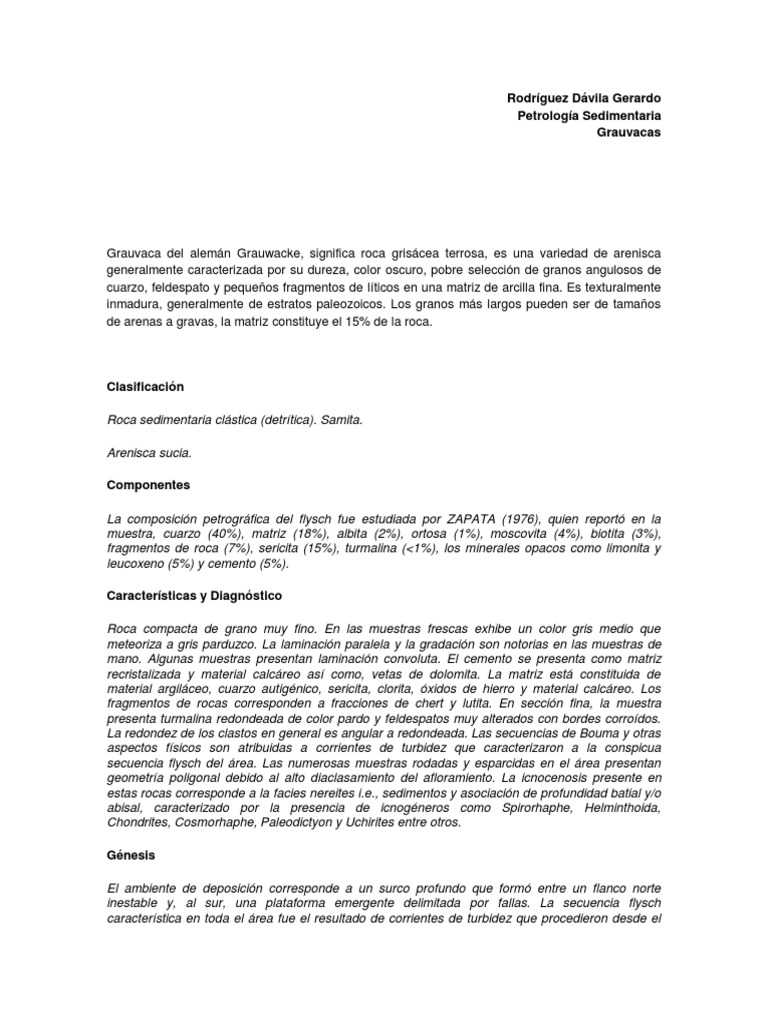 Características de la Grauvaca | PDF | Sedimentología | Rocas