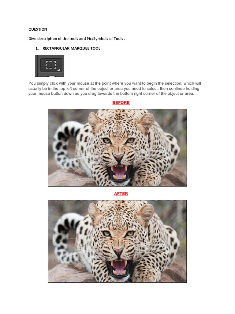 Rectangular Marquee Tool: Give Description of The Tools and Pic/Symbols ...