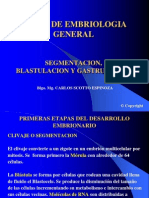 Segmentacion Blastulacion Gastrulacion