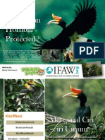 Whether Indonesian Hornbill Protected