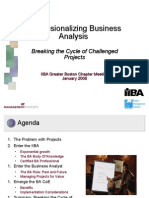 Professionalizing Business Analysis