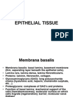 2014 1 06 Epithelial Conncetive