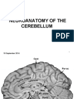 2014 3 03 Neuroanatomy of The Cerebellum