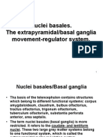2014_3_05_nuclei_basales