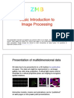 Basic Introduction To Image Processing: WWW - Zmb.unizh - CH