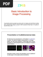 Basic Introduction To Image Processing: WWW - Zmb.unizh - CH