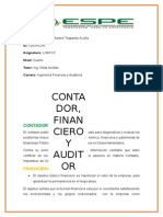 Contador, Auditor y Financiero