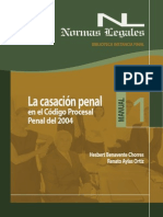 La Casacion Penal PDF