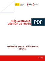 Guia Avanzada de Gestion de Proyectos