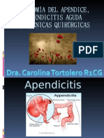  Anatomía de la apendice