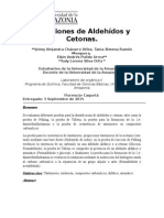 Informe 2. Reacciones de Aldehídos y Cetonas