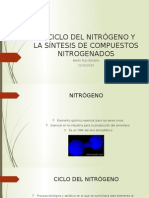 1 Parte Ciclo Del Nitrógeno