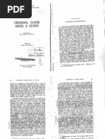 Cidadania Classe Social e Status1