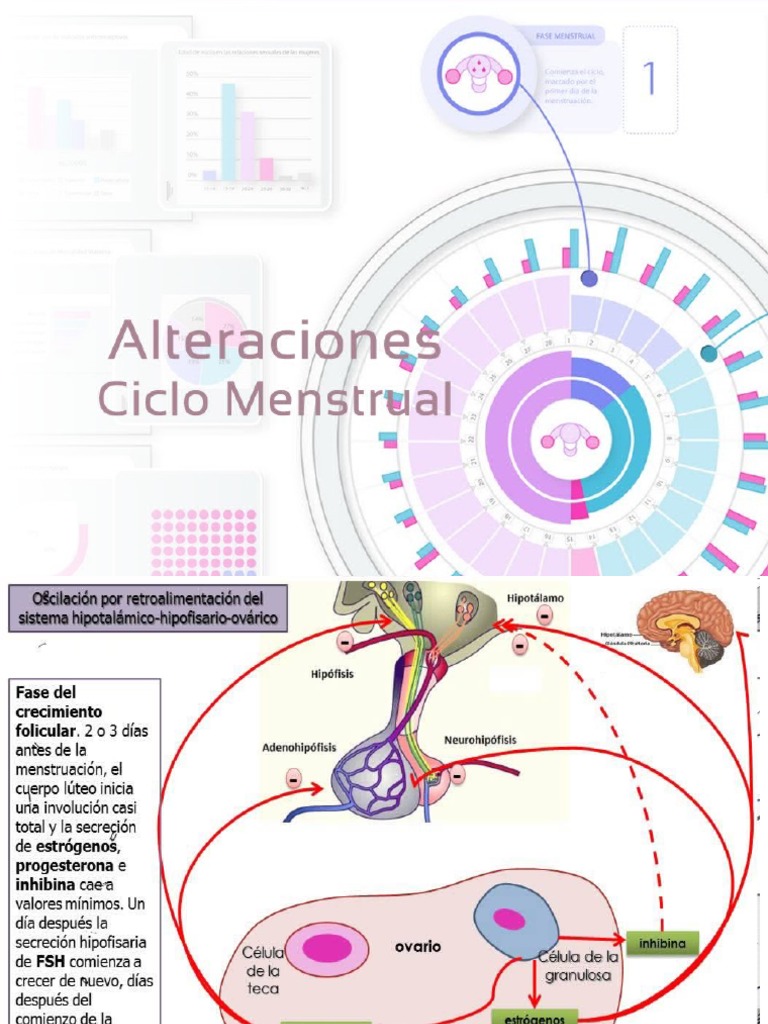 Alteraciones Del Ciclo Menstrual | Píldora anticonceptiva oral
