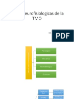 Bases Neurofisiologicas de La TMO