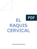 Curso de Raquis Cervical