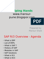 Sap Basic PPT (Beginer)