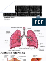Área Pulmonar