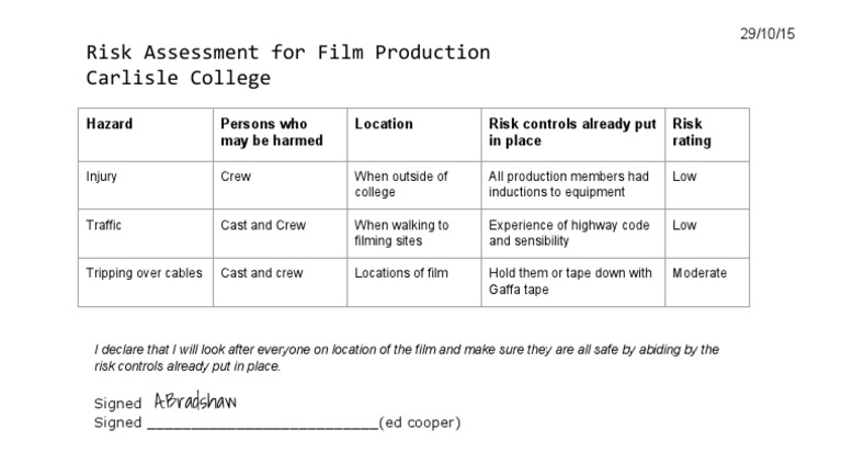 Film Production Risk Assessment | PDF | Technology & Engineering | History