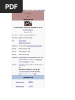 For Other Traditions of Celebrating Lunar New Year