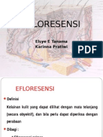 Efloresesnsi Elsye Karinna