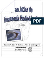 Atlas de Anatomía Endodóntica