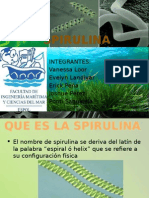 Spirulina