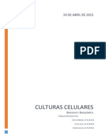 Relatório Cultura de Células
