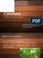  Celulosa
