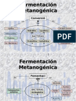 W 4 - Presentacion Biogas