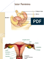 Reprodutor Feminino.2013pptx