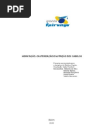 Hidratação Cauterização Nutrição Dos Cabelos