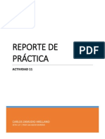 Reporte de Práctica 11