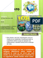 Ecologia Moderna 3