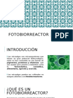 Fotobiorreactor