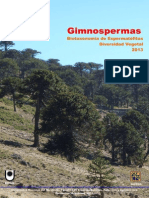 Gimnospermas: Subclase Cycadidae