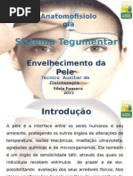 Sistema Tegumentar