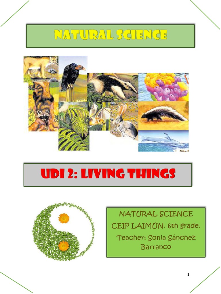 Understanding Cells and Living Things | PDF